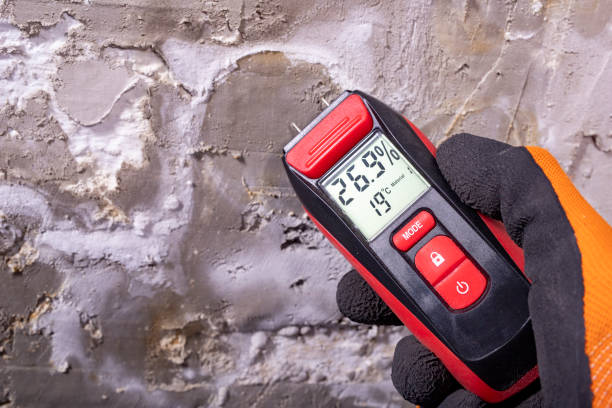 Mold Removal and Inspection in Munroe Falls, OH