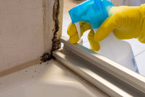 Best Residential Mold Removal  in Munroe Falls, OH