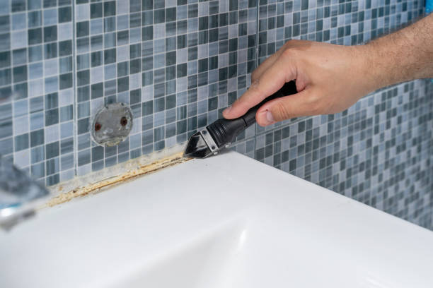 Best Toxic Mold Removal  in Munroe Falls, OH